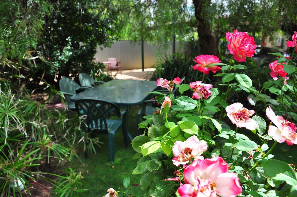 Bed and Breakfast The Dove Cote Tanunda Exterior foto