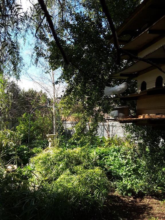 Bed and Breakfast The Dove Cote Tanunda Exterior foto