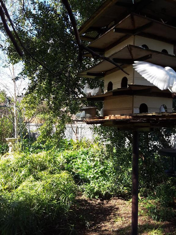 Bed and Breakfast The Dove Cote Tanunda Exterior foto