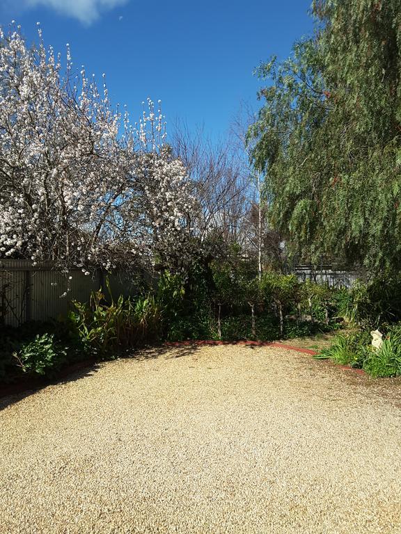 Bed and Breakfast The Dove Cote Tanunda Exterior foto